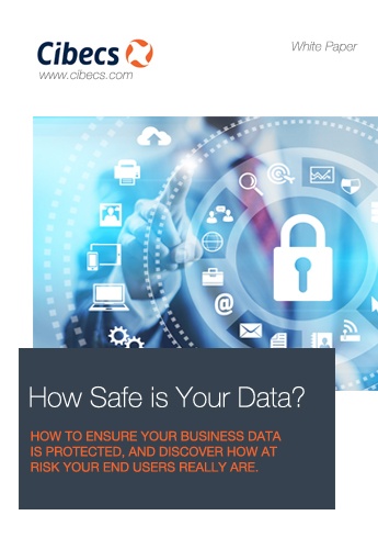 White paper Covers - How safe is your data.jpg